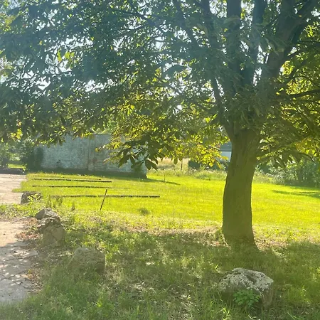 Gut Runge Lejlighed Kiebitz