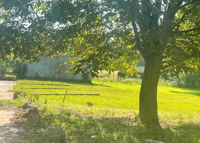 Gut Runge Apartment Kiebitz